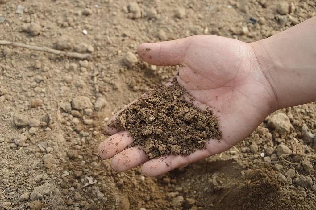 Making your Soil Ready for the Garden